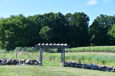 CLINTON, CT - 4 Temmuz 2020 'de Clinton, Connecticut' taki Chamard Vineyard.