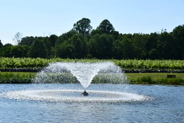 Clinton Jul Chamard Vineyard Clinton Connecticut Seen July 2020 — 图库照片