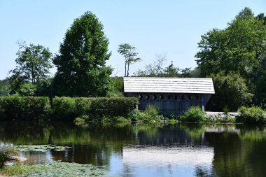 4 Temmuz 2020 'de Killingworth, Connecticut' taki Lavanta Havuzu Çiftliği 'nde görüldüğü gibi. New England 'ın en büyük lavanta çiftliği..
