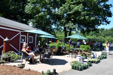 4 Temmuz 2020 'de Killingworth, Connecticut' taki Lavanta Havuzu Çiftliği 'nde görüldüğü gibi. New England 'ın en büyük lavanta çiftliği..