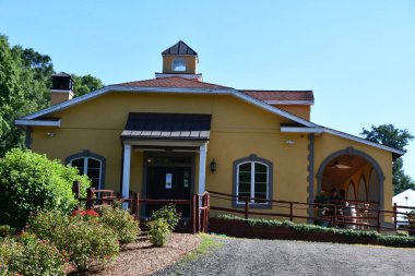 Wallingford, Connecticut 'taki Paradise Hills Üzüm bağları, 18 Haziran 2020' de görüldüğü gibi..