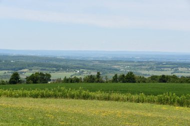 New York 'un kuzeyindeki Cherry Valley' den Mohawk Vadisi manzarası