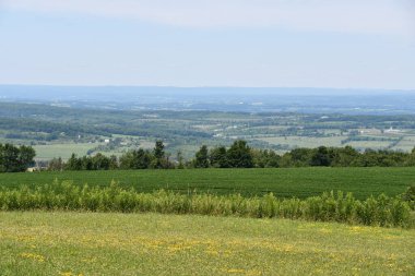 New York 'un kuzeyindeki Cherry Valley' den Mohawk Vadisi manzarası