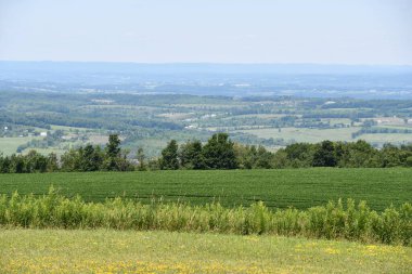 New York 'un kuzeyindeki Cherry Valley' den Mohawk Vadisi manzarası