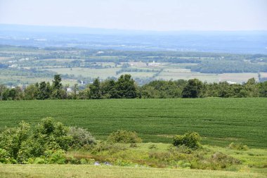 New York 'un kuzeyindeki Cherry Valley' den Mohawk Vadisi manzarası