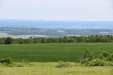New York 'un kuzeyindeki Cherry Valley' den Mohawk Vadisi manzarası