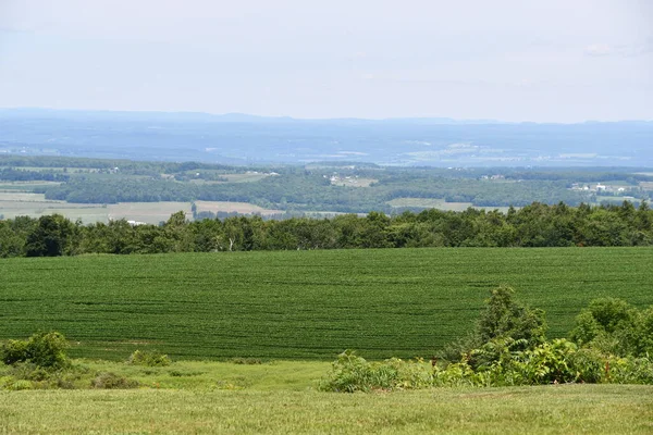 New York 'un kuzeyindeki Cherry Valley' den Mohawk Vadisi manzarası