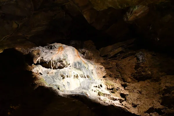 Howes Cave 7月25日 2020年7月25日に見られるように ニューヨーク州北部のハウ洞窟 ナイアガラの滝の後 ニューヨーク州で2番目に訪問された自然の魅力です — ストック写真