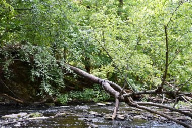 ANNANDALE-ON-HUDSON, NY - 30 AUG: Zabriskies Şelalesi Annandale-On-Hudson, New York, 30 Ağustos 2020 'de görüldüğü gibi.