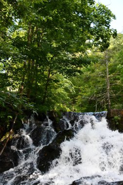 ANNANDALE-ON-HUDSON, NY - 30 AUG: Zabriskies Şelalesi Annandale-On-Hudson, New York, 30 Ağustos 2020 'de görüldüğü gibi.