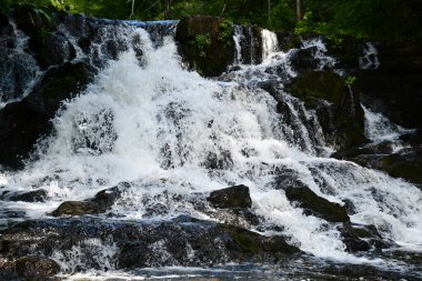 ANNANDALE-ON-HUDSON, NY - 30 AUG: Zabriskies Şelalesi Annandale-On-Hudson, New York, 30 Ağustos 2020 'de görüldüğü gibi.