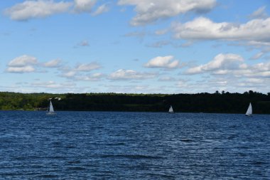 Kingston, New York 'taki Kingston Point Rotary Park' tan görüntü