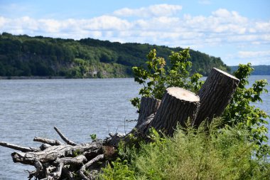 Kingston, New York 'taki Kingston Point Rotary Park' tan görüntü
