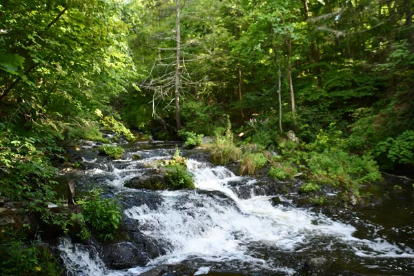 Annandale Hudson Aug Zabriskies Wasserfall Annandale Hudson New York Gesehen — Stockfoto