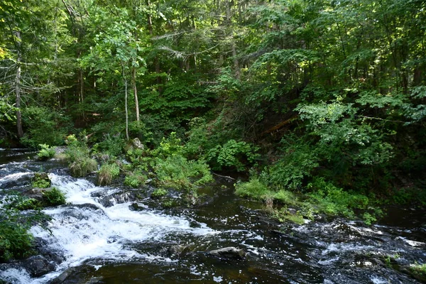 Annandale Hudson Aug Zabriskies Wasserfall Annandale Hudson New York Gesehen — Stockfoto