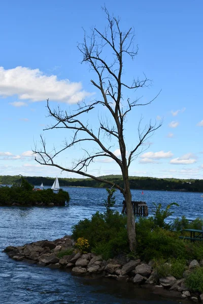 Udsigt Fra Kingston Point Rotary Park Kingston New York - Stock-foto