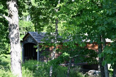 New York, Cooperstown 'daki Hyde Hall Köprüsü