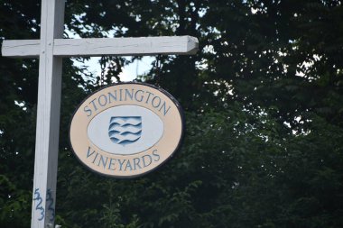Stonington, Connecticut 'taki Stonington üzüm bağları, 1 Ağustos 2020' de görüldüğü gibi..