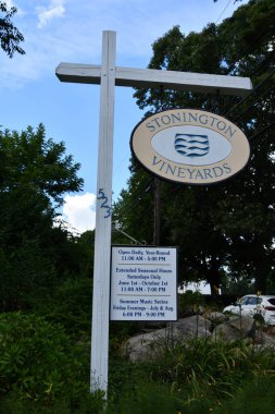 Stonington, Connecticut 'taki Stonington üzüm bağları, 1 Ağustos 2020' de görüldüğü gibi..