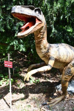 KATONAH, NY - 15 AUG: Lasdon Park 'taki dinozor bahçesi ve Katonah, New York' taki botanik bahçesi, 15 Ağustos 2020 'de görüldüğü gibi.