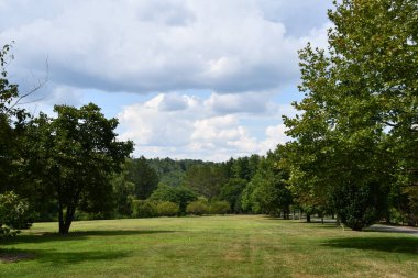 Katonah, New York 'ta Lasdon Park ve botanik bahçesi, 15 Ağustos 2020' de görüldüğü gibi..