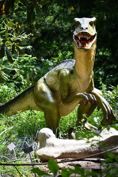 Katonah Aug Dinosaur Garden Lasdon Park Arsurgtum New York Katonah — 스톡 사진