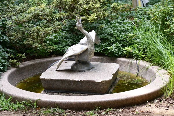 Katonah Agosto Statue Lasdon Park Arboretum Katonah New York Come — Foto Stock