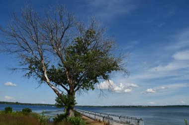 Cenevre, New York 'tan Seneca Gölü manzarası