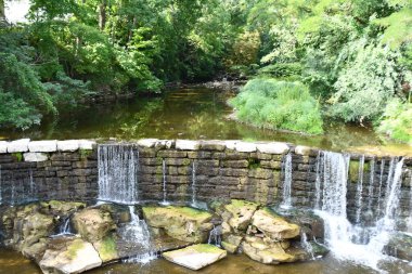 Phelps, New York 'taki Flint Creek Şelalesi