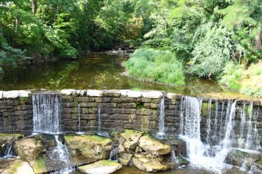 Phelps, New York 'taki Flint Creek Şelalesi