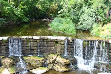 Phelps, New York 'taki Flint Creek Şelalesi