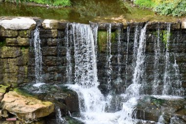 Phelps, New York 'taki Flint Creek Şelalesi