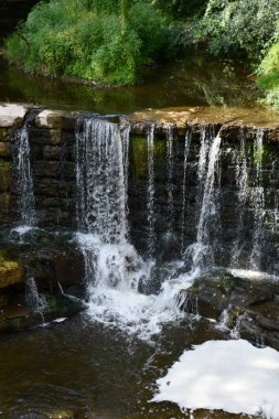 Phelps, New York 'taki Flint Creek Şelalesi
