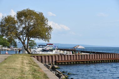 ROMULUS, NY - 22 AUG: Samson Eyalet Parkı, New York, Romulus, 22 Ağustos 2020 'de görüldüğü gibi.