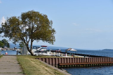 ROMULUS, NY - 22 AUG: Samson Eyalet Parkı, New York, Romulus, 22 Ağustos 2020 'de görüldüğü gibi.