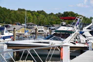 ROMULUS, NY - 22 AUG: Samson Eyalet Parkı, New York, Romulus, 22 Ağustos 2020 'de görüldüğü gibi.