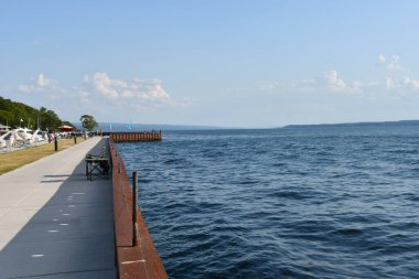 ROMULUS, NY - 22 AUG: Samson Eyalet Parkı, New York, Romulus, 22 Ağustos 2020 'de görüldüğü gibi.