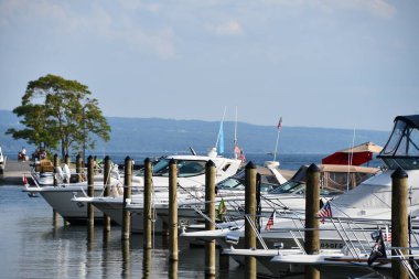 ROMULUS, NY - 22 AUG: Samson Eyalet Parkı, New York, Romulus, 22 Ağustos 2020 'de görüldüğü gibi.