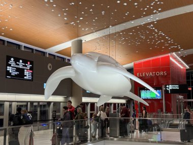 TAMPA, FL - 13 Şubat 2025 'te Florida' daki Tampa Uluslararası Havalimanı 'nda görülen terminal binası.