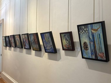 WILMINGTON, NC - 19 Nisan 2025 'te Wilmington, Kuzey Carolina' daki Bellamy Konak Müzesi.