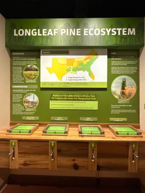 WILMINGTON, NC - 19 Nisan 2025 'te Wilmington, Kuzey Carolina' daki Cape Fear Museum of History and Science 'da sergi.