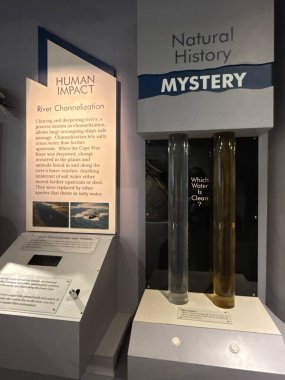 WILMINGTON, NC - 19 Nisan 2025 'te Wilmington, Kuzey Carolina' daki Cape Fear Museum of History and Science 'da sergi.