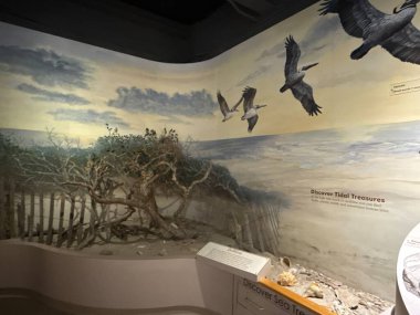 WILMINGTON, NC - 19 Nisan 2025 'te Wilmington, Kuzey Carolina' daki Cape Fear Museum of History and Science 'da sergi.