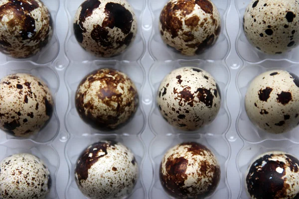 Bıldırcın yumurtaları.