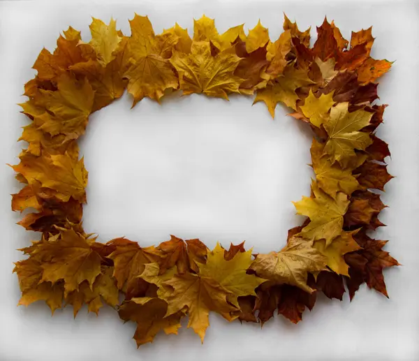 Parlak renklerde düşen yaprakların sonbahar çerçevesi