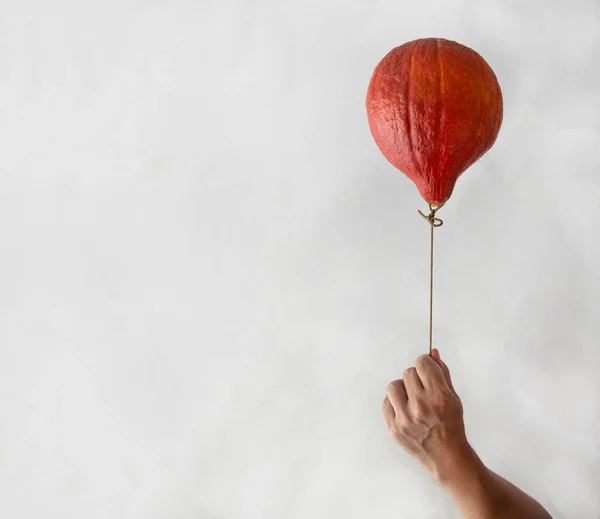 balkabağı gibi hafif arka planda bir adamın elinde