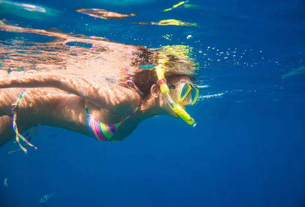 Chica dedicada al snorkel —  Fotos de Stock