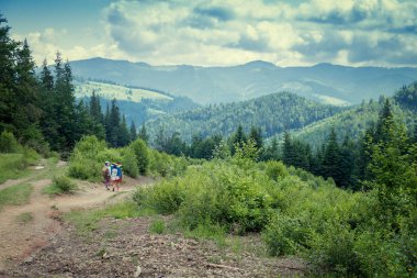 güzel orman manzarası