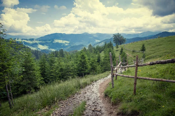 The Carpathian mountains in summer — Stock Photo, Image