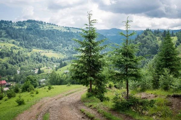 Landskap i Karpaterna — Stockfoto